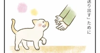 猫エイズ陽性で腎臓に疾患も。それでも職員と保護活動家が「絶対幸せになれる」と断言できるワケ