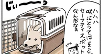 【マンガ】自宅リフォームで白柴が落ち着かない…室内で見つけた「意外すぎるセーフティスポット」