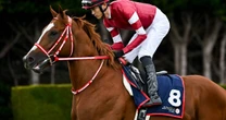競馬ファンは「凱旋門賞に行け」と軽々しく言ってはいけない…矢作芳人調教師が明かす「海外遠征の過酷すぎる裏側」