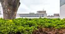 「実は、あの枠はコンプラが…」いま、NHK夜ドラが芸能界から大注目を集める意外すぎる理由