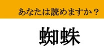 【難読漢字】「蜘蛛」って読めますか？ 軒下で獲物を待ち構える....