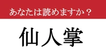 【難読漢字】「仙人掌」って読めますか？ 砂漠を生き抜く....