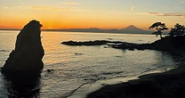 「各地の山や森で登山を楽しめているのは当たり前のことではない」森と海が教えてくれたこと