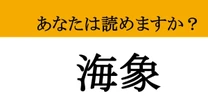 【難読漢字】「海象」って読めますか？ 海にいる象ってなに...？