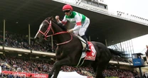 《宝塚記念には最強牝馬がよく似合う》2019年、覚醒したリスグラシュー、管理した矢作師も「一番凱旋門賞に連れて行きたかった」