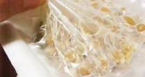 納豆パックは「捨てない」？　滝沢秀一に聞く、いまさら聞けないプラスチックの「分類」