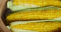 劇的に違う！とうもろこしを「おいしいまま」冷凍保存、加熱するときと切り方の一工夫