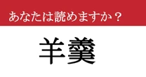【難読漢字】「羊羹」って読めますか？ 贈り物で貰うと嬉しいですね....