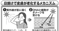 若くいたければ「紫外線対策をせよ」日焼け止めを塗る時にも落とし穴が…