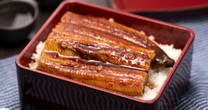 「１尾4860円」世界で初めての完全養殖ウナギは「天然物」とどう違う？…味の特徴と味わい方
