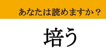 【難読漢字】「培う」って読めますか？ じっくり育んでいきたい