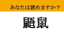 【難読漢字】「鼯鼠」って読めますか？ 夜の森を優雅に舞う空飛ぶ忍者