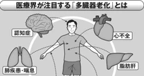 腎臓の機能が落ちれば、心臓が老いる…症状がないまま静かに進む「多臓器老化」の恐怖