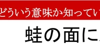 【限界語彙力】「蛙の面に水」、どんな意味かわかりますか？