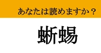 【難読漢字】「蜥蜴」って読めますか？ 庭先でサッと隠れる....