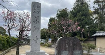 「奈良と京都の違い」は寺社にあり…「薬師寺」を訪ねて分かった、奈良県の奥深い魅力