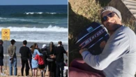 Alert as great white shark in waters off Manly Beach