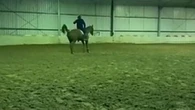 Aussie Olympian makes sad admission after horse whip video emerges