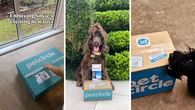 Pet Circle drops huge EOFY sale up to 50 per cent off food, bedding and toys