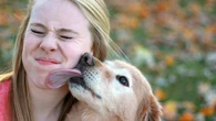 Dog kisses could be making you sick
