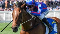 Scratching fears grow as Cox Plate contender injured