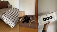 Best Picks shares the seven ‘must-have’ products for dog owners