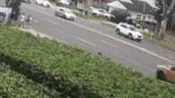 Schoolboy seriously injured after ute clips him on busy road