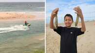 Potential change flagged for popular NSW beach after young boy drowns