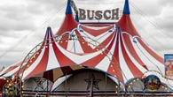 Acrobat falls to death as trapeze stunt goes horribly wrong
