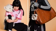 adidas launches first-ever pet range with carrier, clothes and collars - and owners are ‘obsessed’