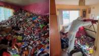 ‘Biggest cleanup ever’: Viral video reveals shocking state of Sydney home