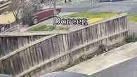 Watch the terrifying moment thieves in Victoria stole a car with toddlers in the back