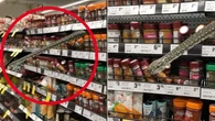 Woolworths shopper spots THREE METRE PYTHON in spice section of Sydney store