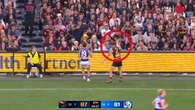 Adelaide star goes viral for highly questionable act