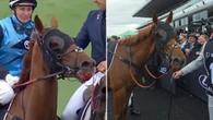 Vets explain Melbourne Cup winner’s bleeding mouth at finish line
