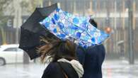 ‘Vigorous cold front’: Damaging winds to smash NSW and VIC