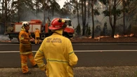 Firefighter seriously hurt after being hit by falling tree while battling inferno