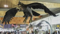 Hobbit-themed eagle sculptures to depart New Zealand airport