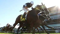 Sydney Cup stunner as rank outsider wins at $61