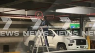 Investigation underway after birds found dead at shopping centre