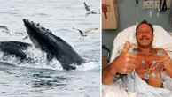 ‘He’s trying to swallow me’: Diver tells of lucky escape after becoming trapped in whale's mouth