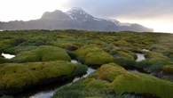 Land of ice and fire: Expeditioners to set sail for island not seen by humans in decades