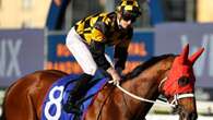 Why Chris Waller is confident of another Everest win