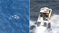 Whale tangled in cable off popular beach