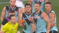 AFL tribunal reveals crucial reasons behind Zak Butters’ guilty verdict