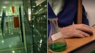 Sex offender becomes Aussie state’s first inmate to use voluntary assisted dying