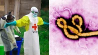 International emergency declared as Ebola outbreak kills dozens