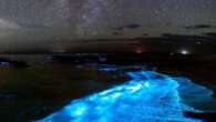 Tasmania experiences biggest bioluminescence bloom in nearly a decade