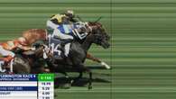 Roughie scrapes home in staggering photo finish