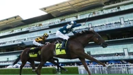 New Everest contender emerges in scintillating All Aged Stakes